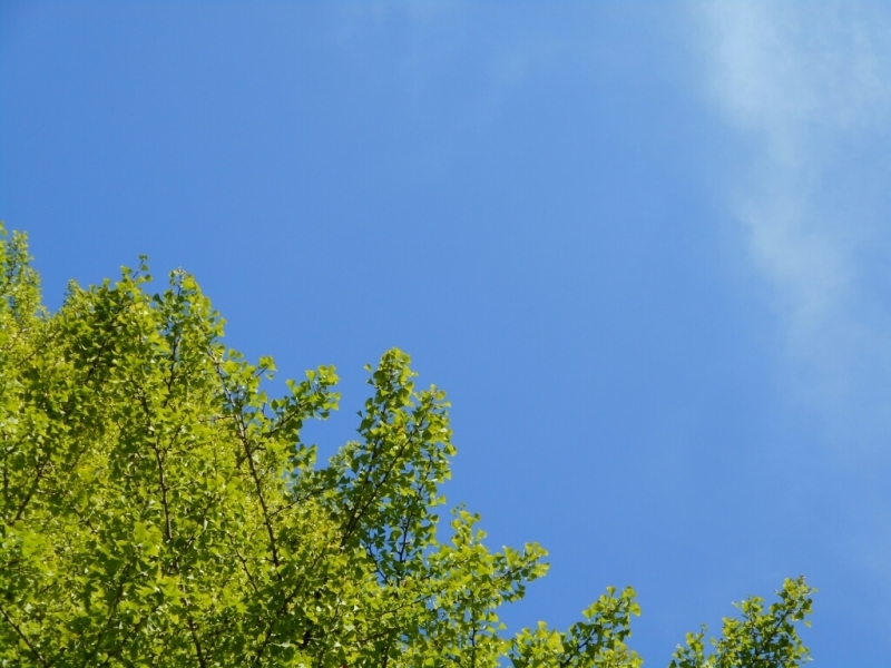 e0263536_23162360.jpg