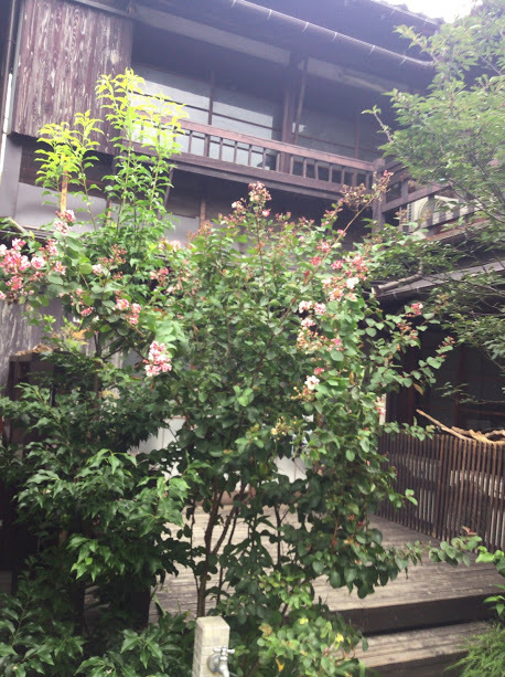 d0063149_12291032.jpg