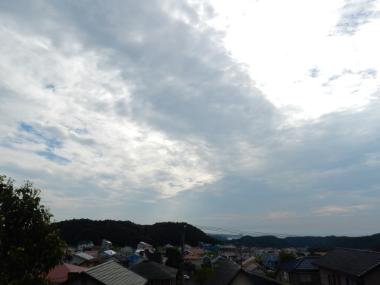’17,8,24(木)ミニトマトとピーマンの収穫がすごい!_f0060461_08061274.jpg