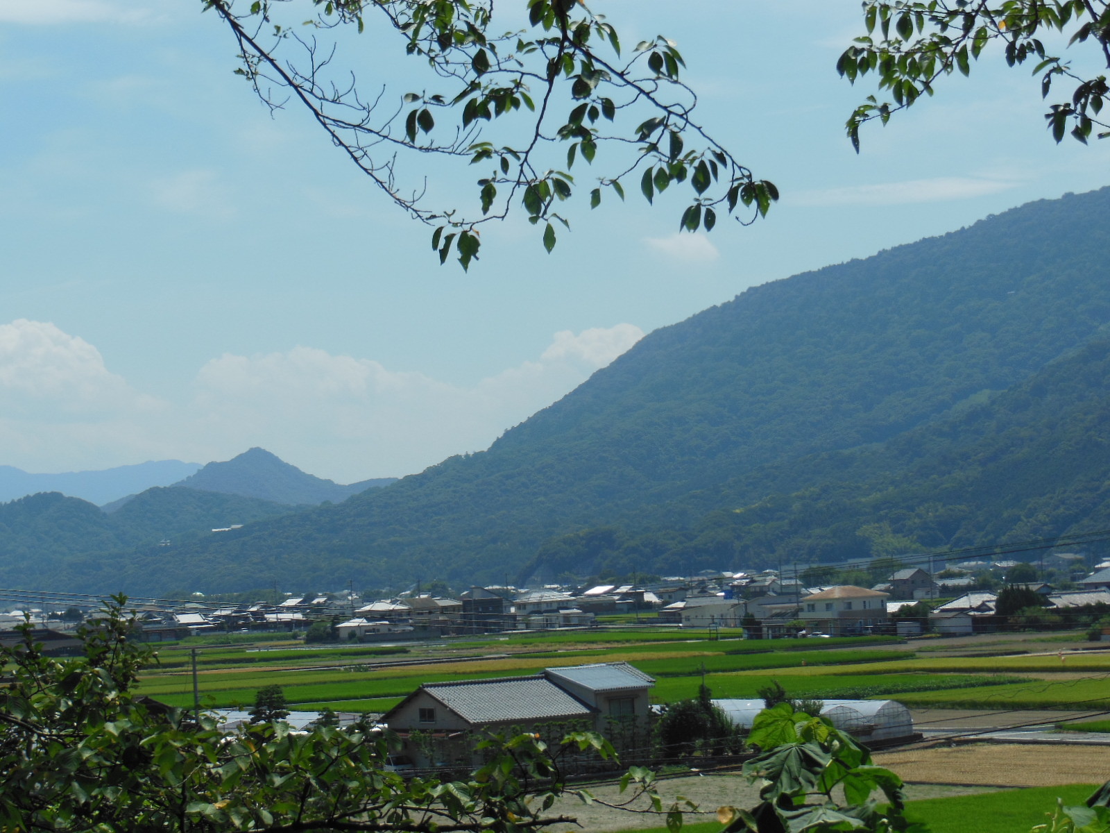 b0300769_09091908.jpg