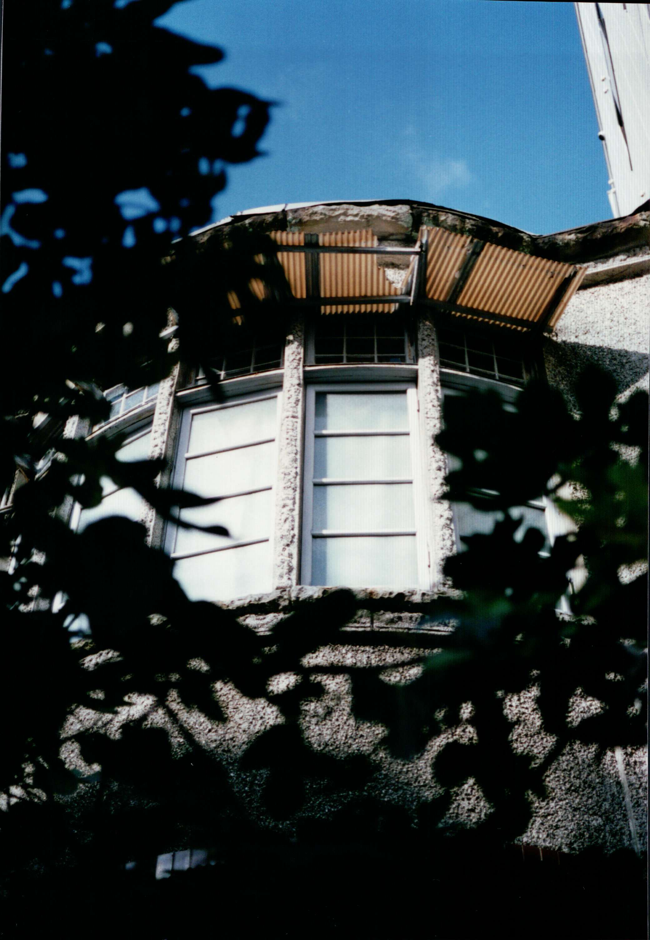 c0193077_1765570.jpg