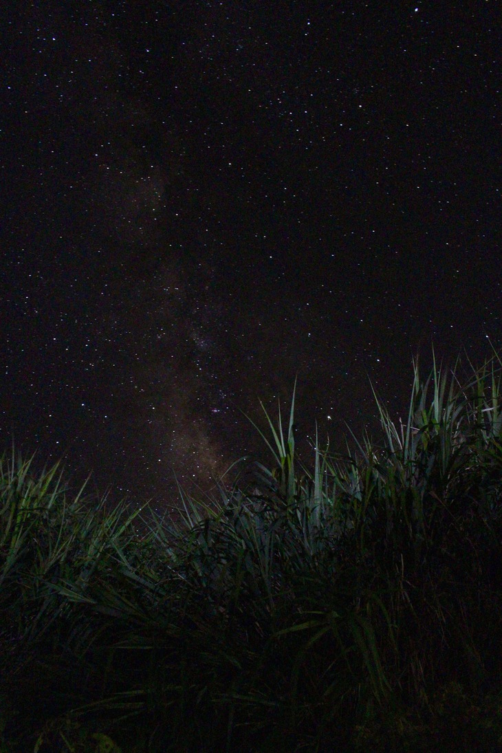 無人島冒険学校 ７日目 砂浜で過ごす夜 満天の星空の下で いつの間にか夢の世界へ みんなたくましくなっています ねこんちゅ通信 ネコのわくわく自然教室