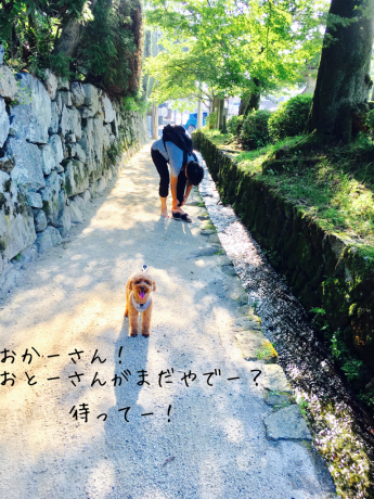 あさんぽ_b0370192_19081082.jpg