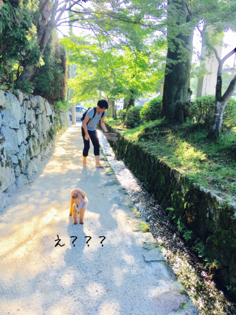 あさんぽ_b0370192_19081129.jpg