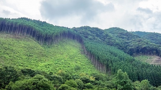 e0176993_06151741.jpg