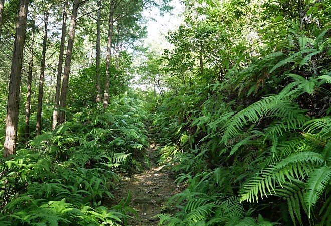 a0339396_01591230.jpg
