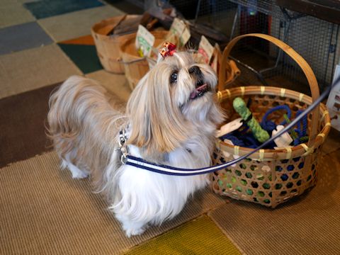 c0090198_2120890.jpg
