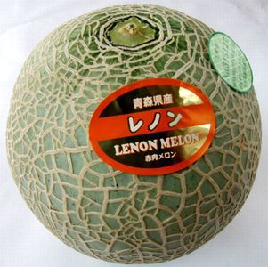 メロンあれこれ_b0044404_20172937.jpg