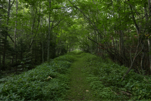 北海道 くじ引き紀行_d0147406_23322228.jpg