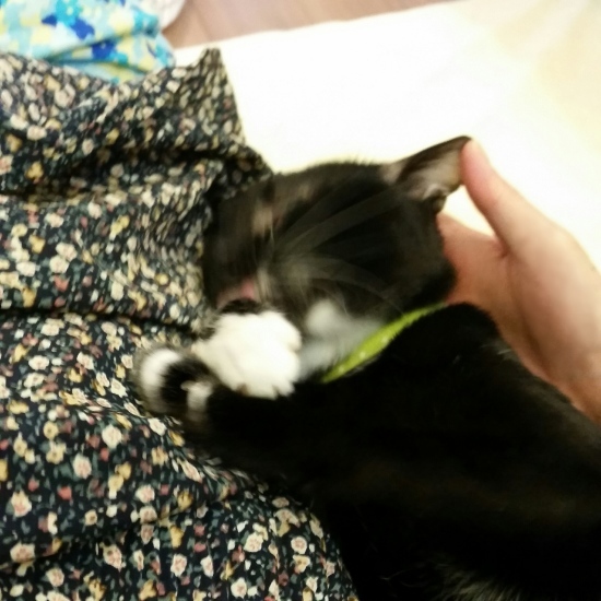 e0144012_23282142.jpeg