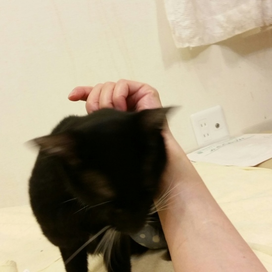 e0144012_23340004.jpeg