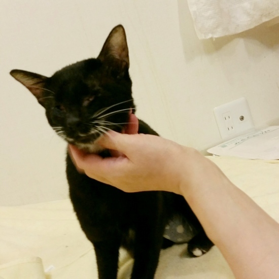 e0144012_23345713.jpeg
