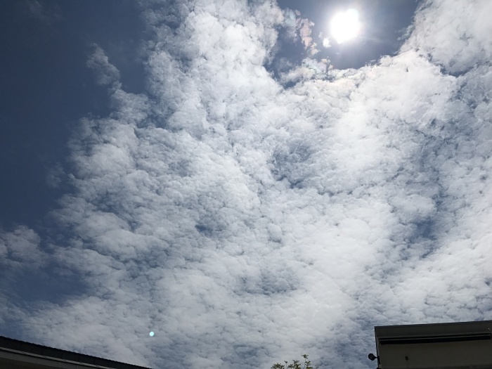e0034013_17311048.jpg