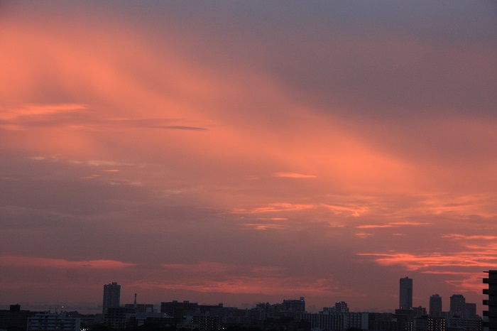 夕陽射す層積雲_b0268615_7392890.jpg