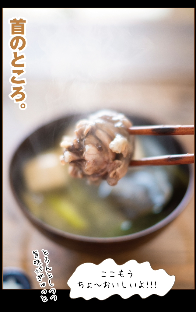 すっぽん料理を作って食べる お料理王国6 Cooking Kingdom6