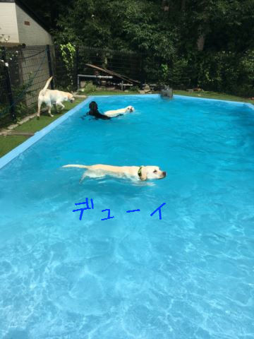 c0114121_234711.jpg