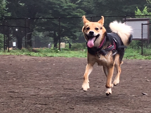 d0046821_21395730.jpeg