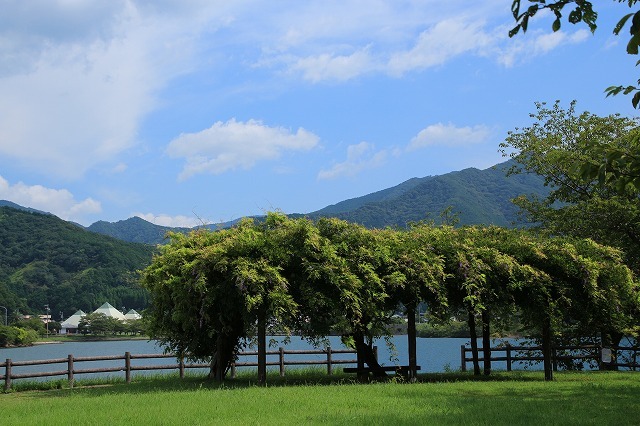 e0321325_13200868.jpg