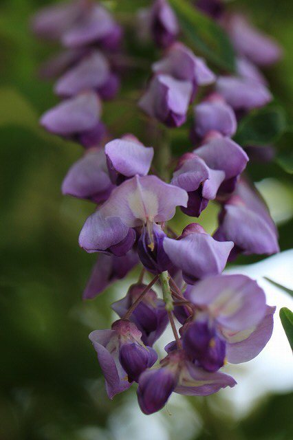 e0321325_13265008.jpg