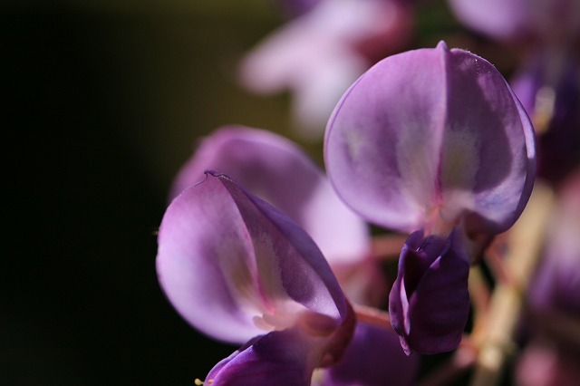 e0321325_13270576.jpg