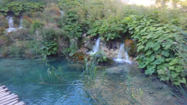 a0324226_5212536.jpg