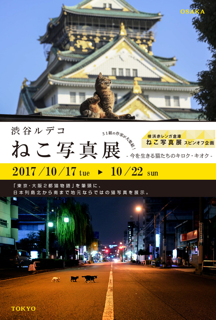 渋谷ルデコねこ写真展_c0194541_16402822.jpg