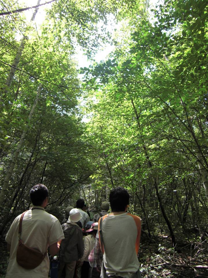 『ふるさと岡山の森を訪ねる旅』、参加者募集中!!_b0211845_15050993.jpg