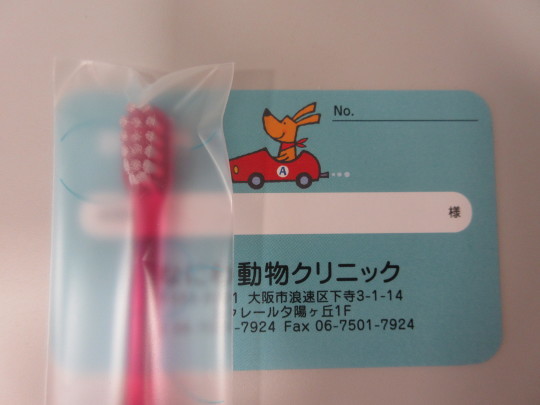 シュワワ(*\'▽\')_e0339146_12095873.jpg