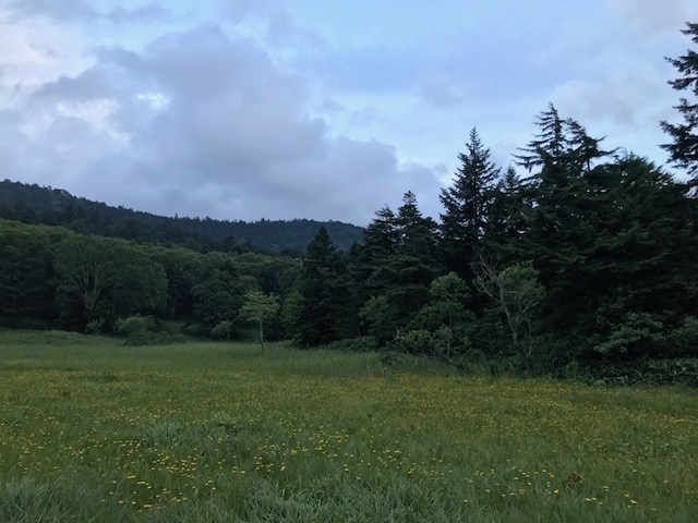 d0117565_21212726.jpg