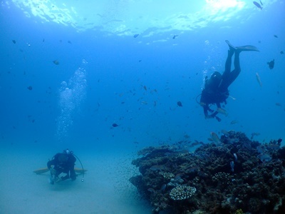 「3DIVE!!」_b0033573_18403750.jpg