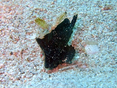 「3DIVE!!」_b0033573_18412987.jpg