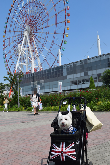 b0242873_10010525.png