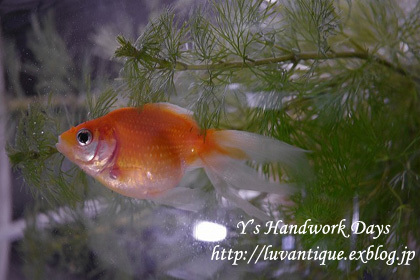 縦寝 Y S Handwork Days 縦寝 Y S Handwork Days