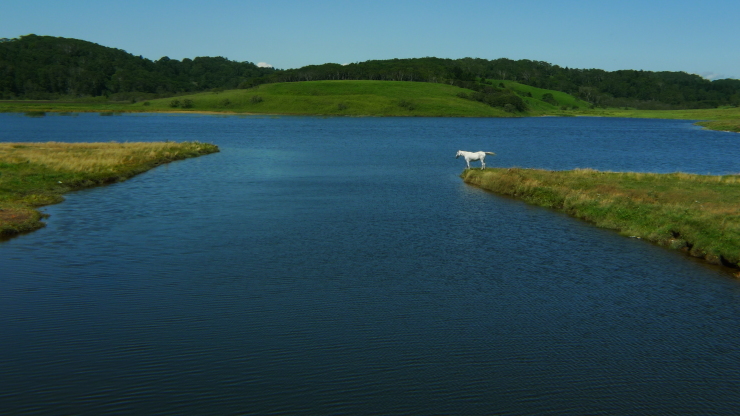 c0212083_17513947.jpg