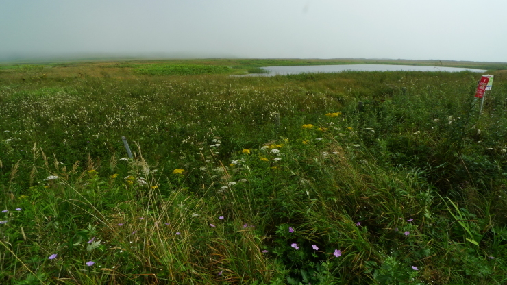 c0212083_17523310.jpg