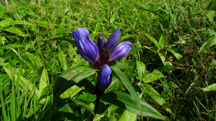 c0212083_17532164.jpg
