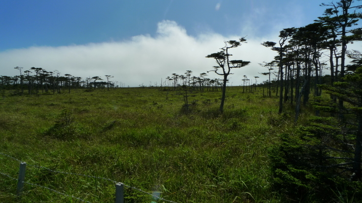 c0212083_17534890.jpg