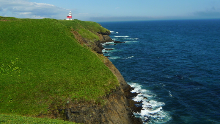 c0212083_17541676.jpg