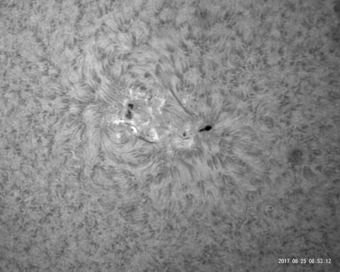 e0174091_11411381.jpg