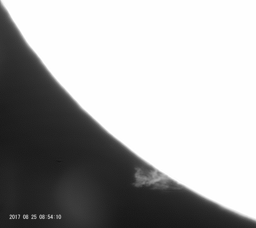 e0174091_11412960.jpg