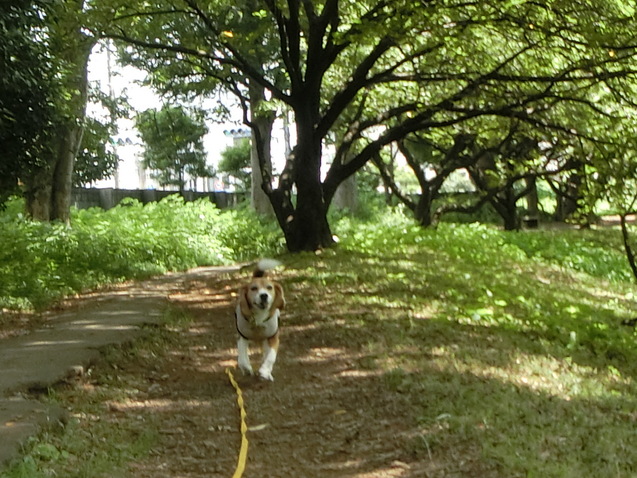 a0319693_8341398.jpg