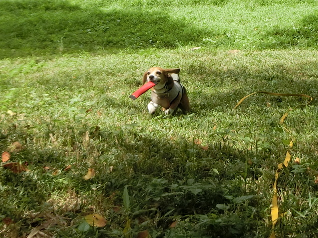 a0319693_8353926.jpg