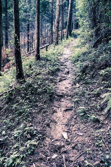 e0176993_05381921.jpg