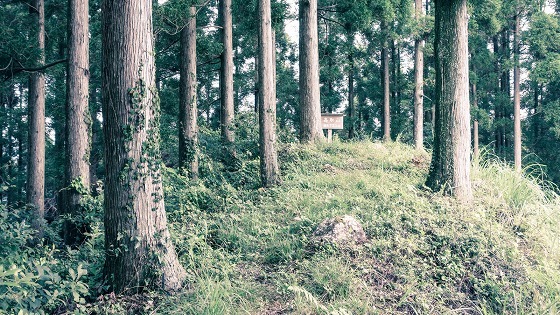 矢部村山系八名山　～高取山～_e0176993_05382060.jpg