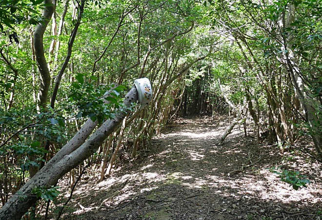 a0339396_14181296.jpg