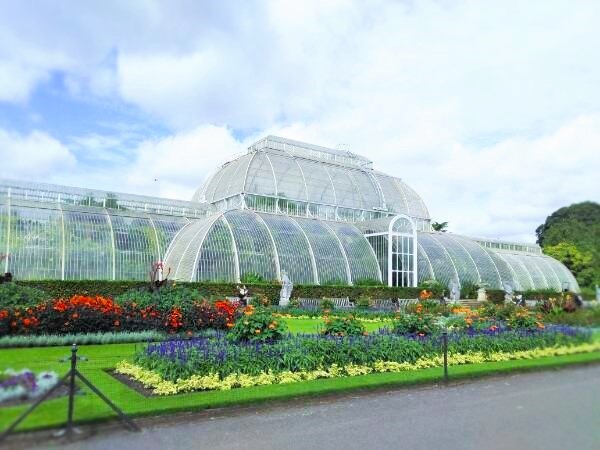 イギリスの旅 キューガーデン 香りのある生活 イギリスの旅 キューガーデン 香りのある生活