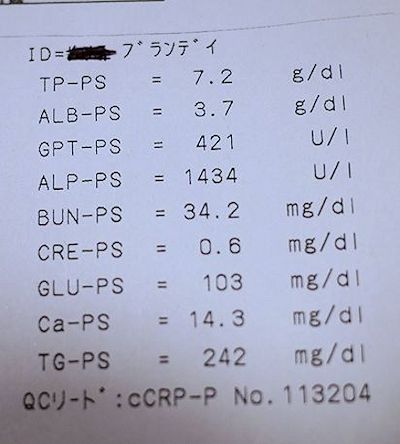 検査結果は・・・取敢えず花丸！_c0090198_2010524.jpg