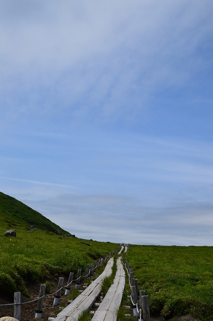 秋田駒ヶ岳 ④_c0124100_22430486.jpg