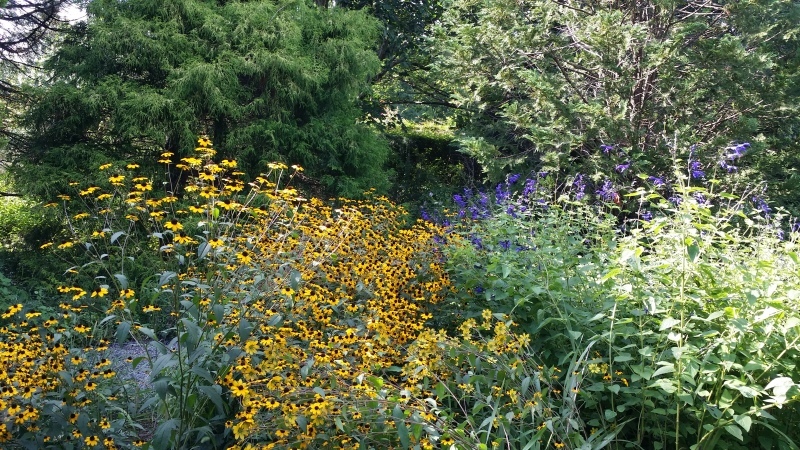 c0320302_21323759.jpg