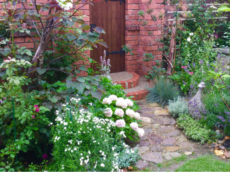ポンポン咲き続ける真っ白な可愛い妖精 アキレア ノブレッサ 薔薇好き花好き庭が好き 元英国在住 アートセラピストが造る癒しの庭
